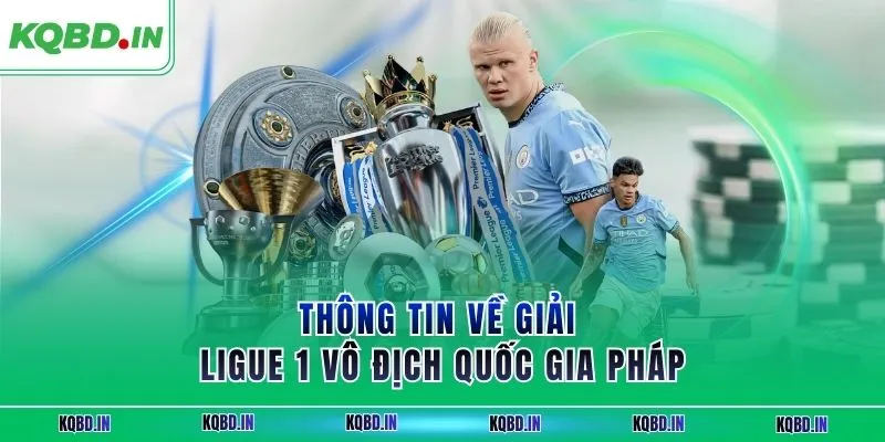 Thông tin về giải Ligue 1 vô địch quốc gia Pháp